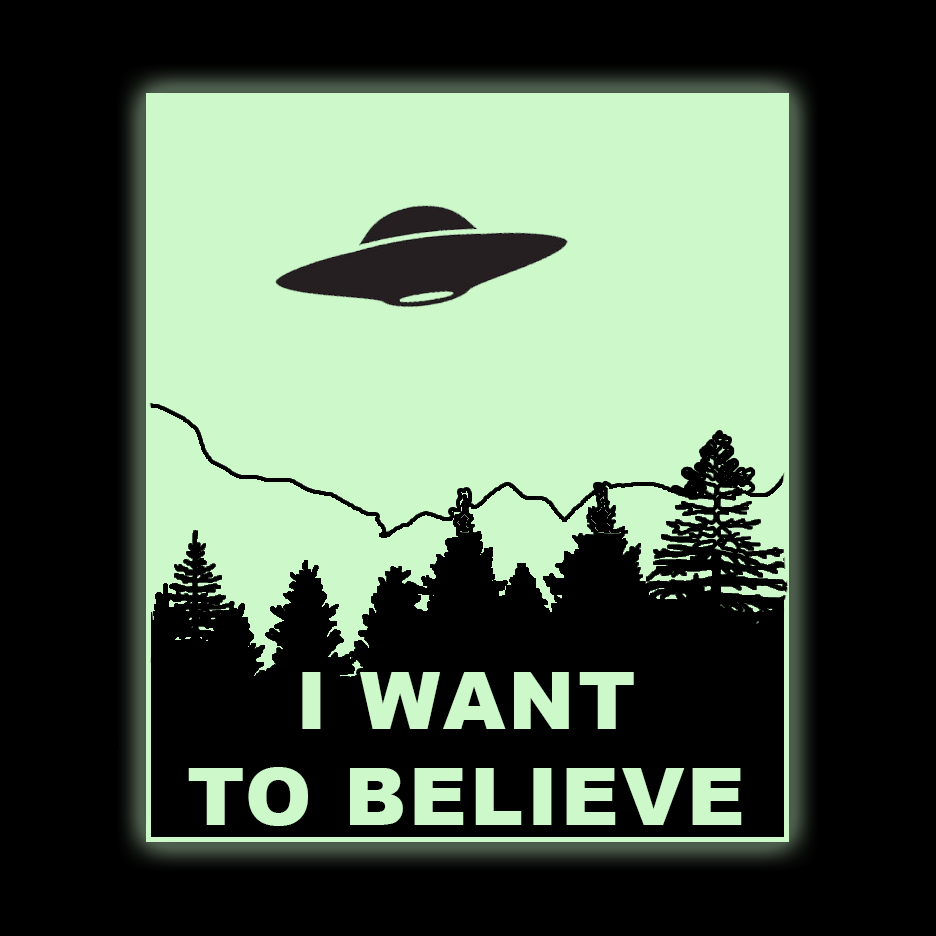 I Want to Believe T Shirt