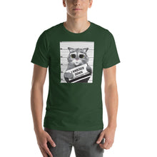 Load image into Gallery viewer, Cat Christmas T Shirt
